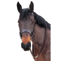 Bridão de caça Canter Castanho