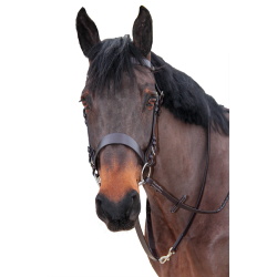 Bridão de caça Canter