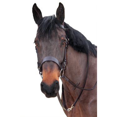 Bridão de caça Canter