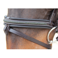 Bridão Canter Mylord Castanho / verde