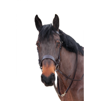 Rédeas trançadas Canter Castanho