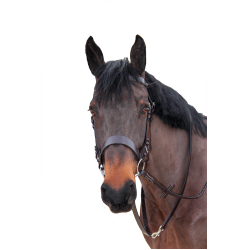 Rédeas trançadas Canter