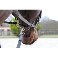 Longe de caça Canter Castanho Longe de caça Canter Castanho