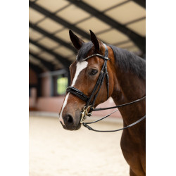 Bridão Glamourdale Weymouth Horze Preto Bridão Glamourdale Weymouth Horze Preto