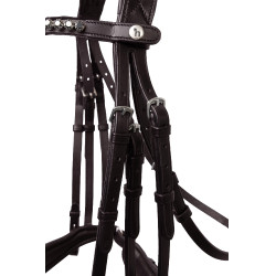 Bridão Glamourdale Weymouth Horze Castanho