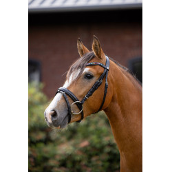 Bridão pônei Rainbow Dash Horze Preto Bridão pônei Rainbow Dash Horze Preto