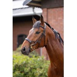 Bridon Chio Horze Conhaque Castanho
