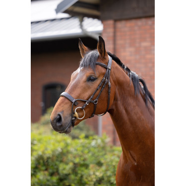 Bridon Chio Horze Conhaque Castanho