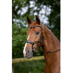 Bridon Chio Horze Preto