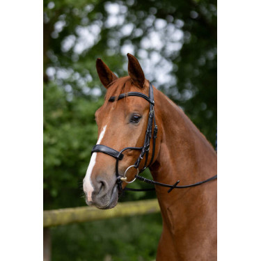 Bridon Chio Horze Preto