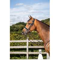 Bridão Muserola Larga Envernizada Forro Branco Dy'on coleção de dressage couro redondo Preto Bridão Muserola Larga Envernizada Forro Branco Dy'on coleção de dressage couro redondo Preto