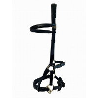 Side-pull couro T de T