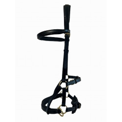 Side-pull couro T de T