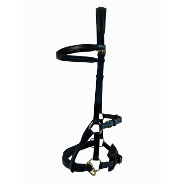 Side-pull couro T de T Side-pull couro T de T