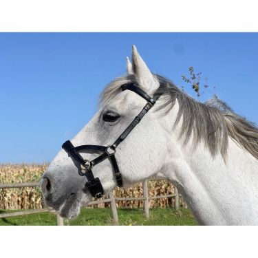 Side-pull couro T de T Side-pull couro T de T