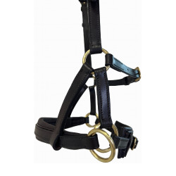 Side-pull couro T de T Havana escuro Castanho