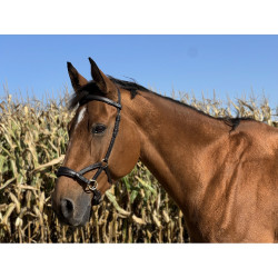 Side-pull couro T de T Havana escuro Castanho