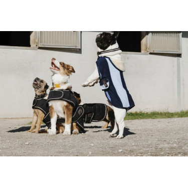 Capa para cão Equithème New Market Capa para cão Equithème New Market