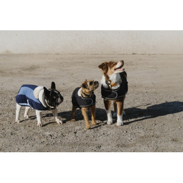 Capa para cão Equithème New Market Capa para cão Equithème New Market
