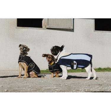 Capa para cão Equithème New Market Capa para cão Equithème New Market