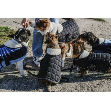 Capa para cão Equithème New Market Capa para cão Equithème New Market
