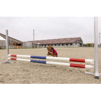 Cobertor polar Diego & Louna Teddy Preto Cobertor polar Diego & Louna Teddy Preto