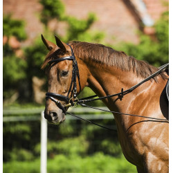 Enrédeas elástico ajustável Enrédeas elástico ajustável