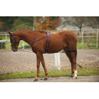 Enrêno de roldanas Norton Enrêno de roldanas Norton