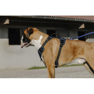 Arnês para cão Riding World Simba Arnês para cão Riding World Simba