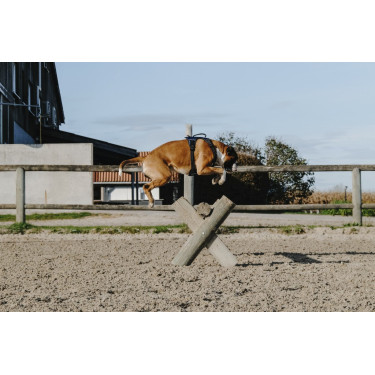 Arnês para cão Riding World Simba Arnês para cão Riding World Simba