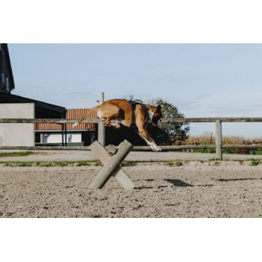 Arnês para cão Riding World Simba Arnês para cão Riding World Simba