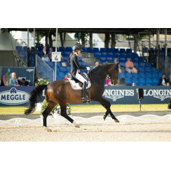 Calça Pikeur Laure full grip feminina Branco Calça Pikeur Laure full grip feminina Branco