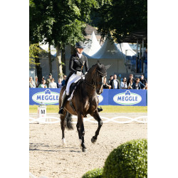 Calça Pikeur Laure full grip feminina Branco Calça Pikeur Laure full grip feminina Branco