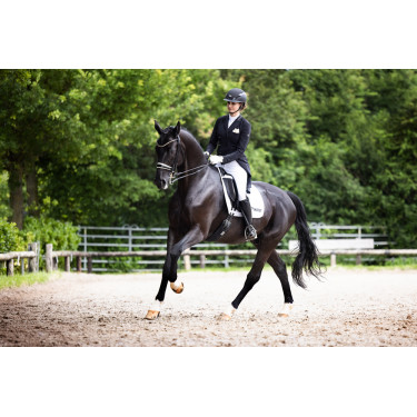 Capacete de equitação Abus Airluxe Supreme Preto