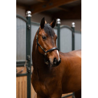 Caveção de couro Eskadron Elegance Preto