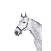 Cabezada Eskadron com fivela Antracite / branco / preto Cinzento Cabezada Eskadron com fivela Antracite / branco / preto Cinzento