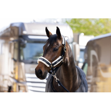 Caveção Eskadron pelo sintético fivela dupla Preto