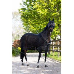 Cabresto e máscara anti-moscas Eskadron Preto