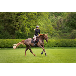 Calça Amia 6805 Pikeur grip nos joelhos cintura média feminina  Cinzento-acastanhado Castanho