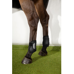 Protetores de boleto Eskadron Compact posteriores Preto