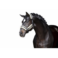 Conjunto de Acolchoamento em pele sintética Eskadron Stallion Banana
