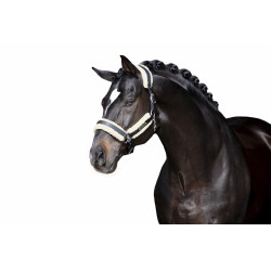 Conjunto de Acolchoamento em pele sintética Eskadron Stallion
