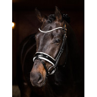 Frontal LeMieux Ice Blue Crystal Preto Frontal LeMieux Ice Blue Crystal Preto