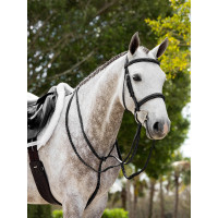 Martingal fixo Hunter LeMieux Havana / prata Castanho