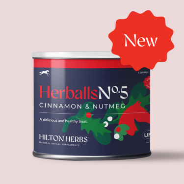 Herballs Nº 5 Canela & Noz-moscada Hilton Herbs Herballs Nº 5 Canela & Noz-moscada Hilton Herbs