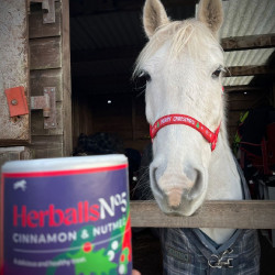 Herballs Nº 5 Canela & Noz-moscada Hilton Herbs Herballs Nº 5 Canela & Noz-moscada Hilton Herbs