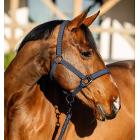 Cabresto e guia Amigo Horseware Marinho Azul-marinho Cabresto e guia Amigo Horseware Marinho Azul-marinho