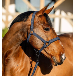 Cabresto e guia Amigo Horseware