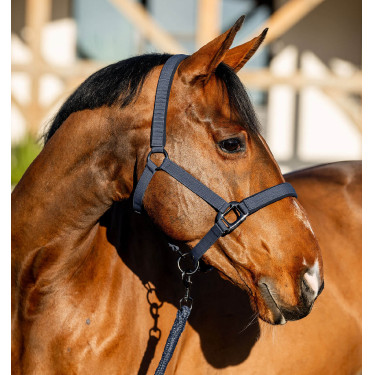 Cabresto e guia Amigo Horseware
