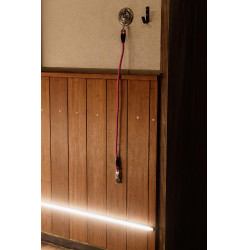 Cordão de fixação de silicone Kentucky Rosa